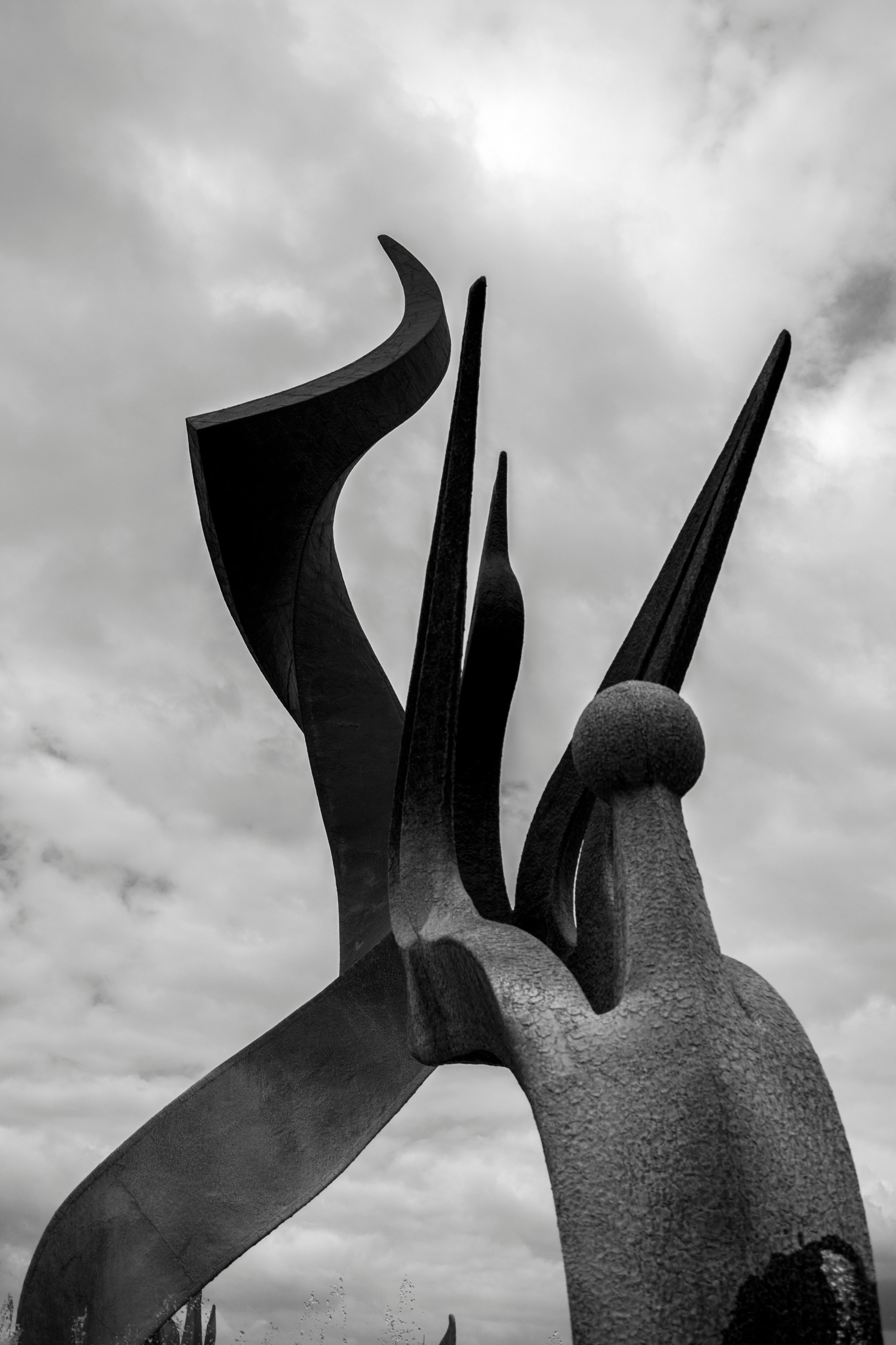 Similar photos free stock photo of black and white guadalajara
