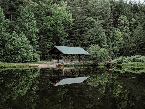 Fotos de stock gratuitas de arboles, escénico, fotografía de naturaleza