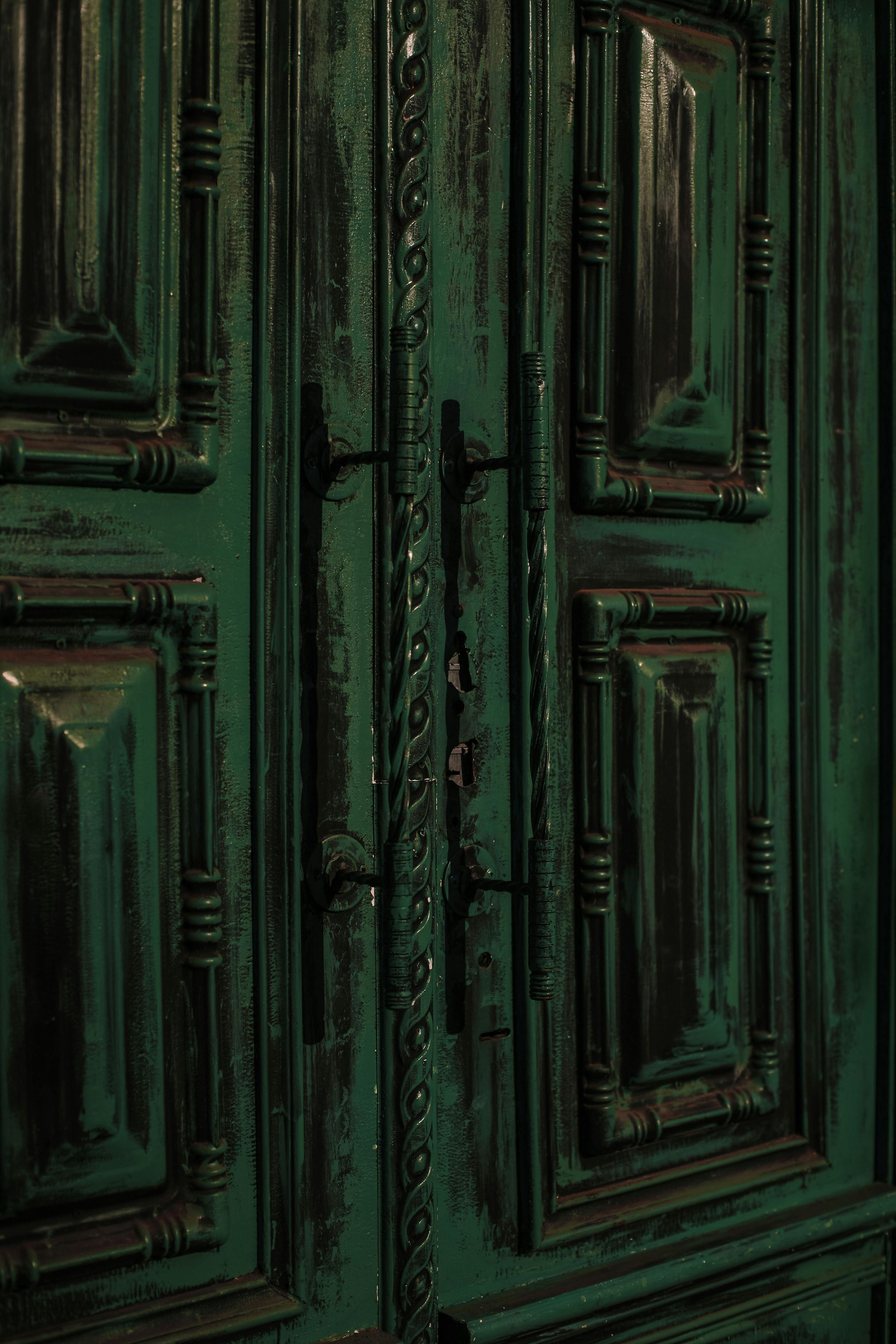 Green old door with ornamental elements and decorative details with metal handles in light place