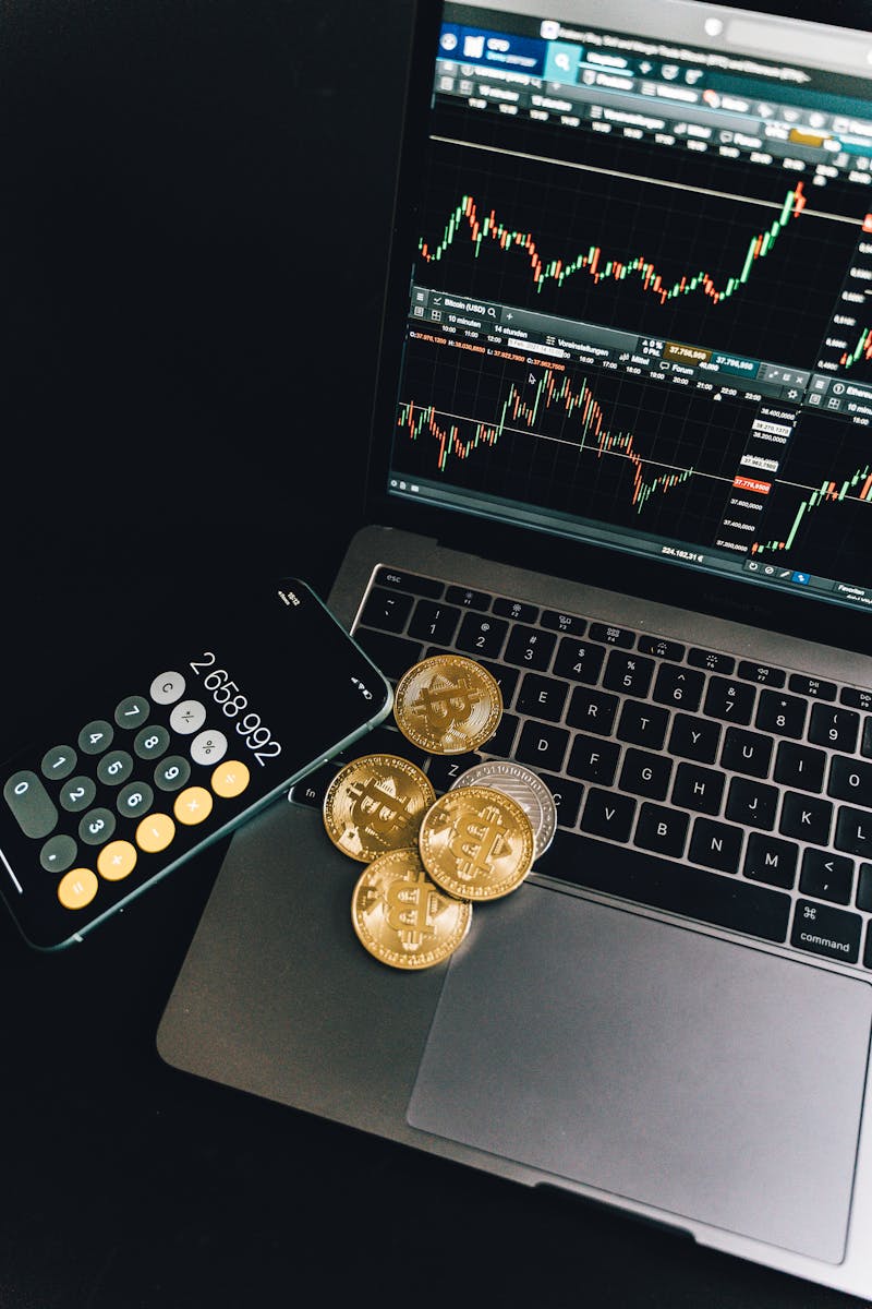 Dubai’s Crypto Leap: Government Embraces Digital Payments