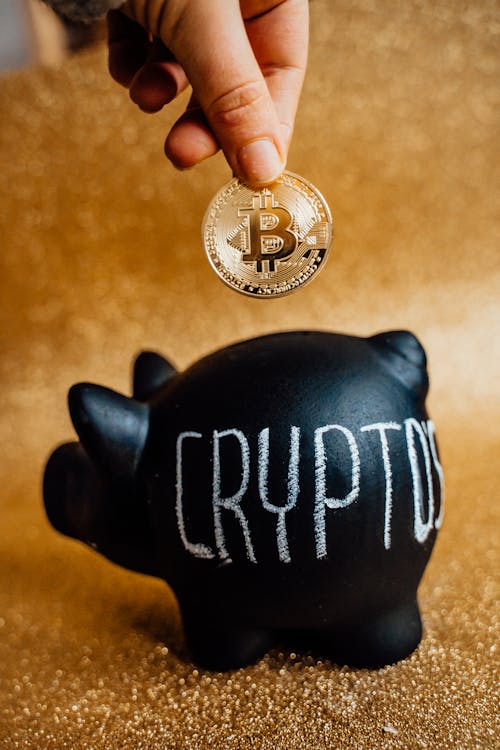 Free Person Putting Bitcoin in a Piggy Bank Stock Photo