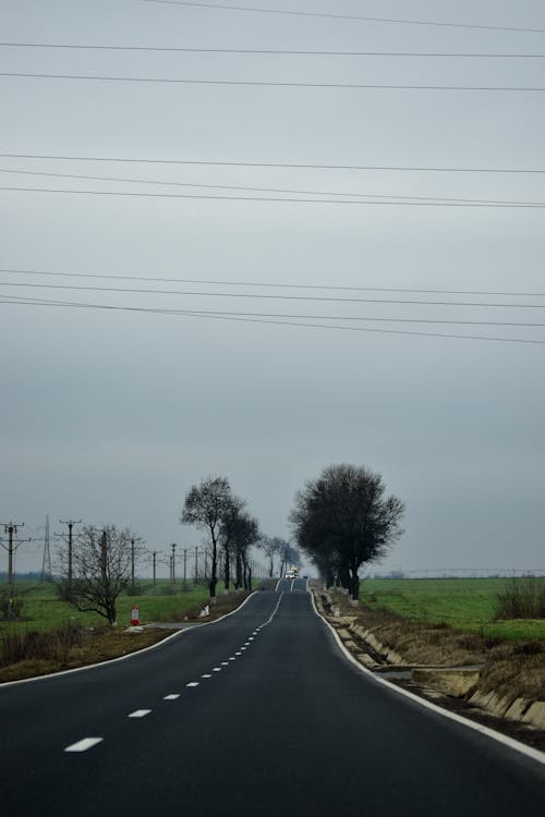 Empty asphalt road going through green grassy valley with leafless trees under overcast sky