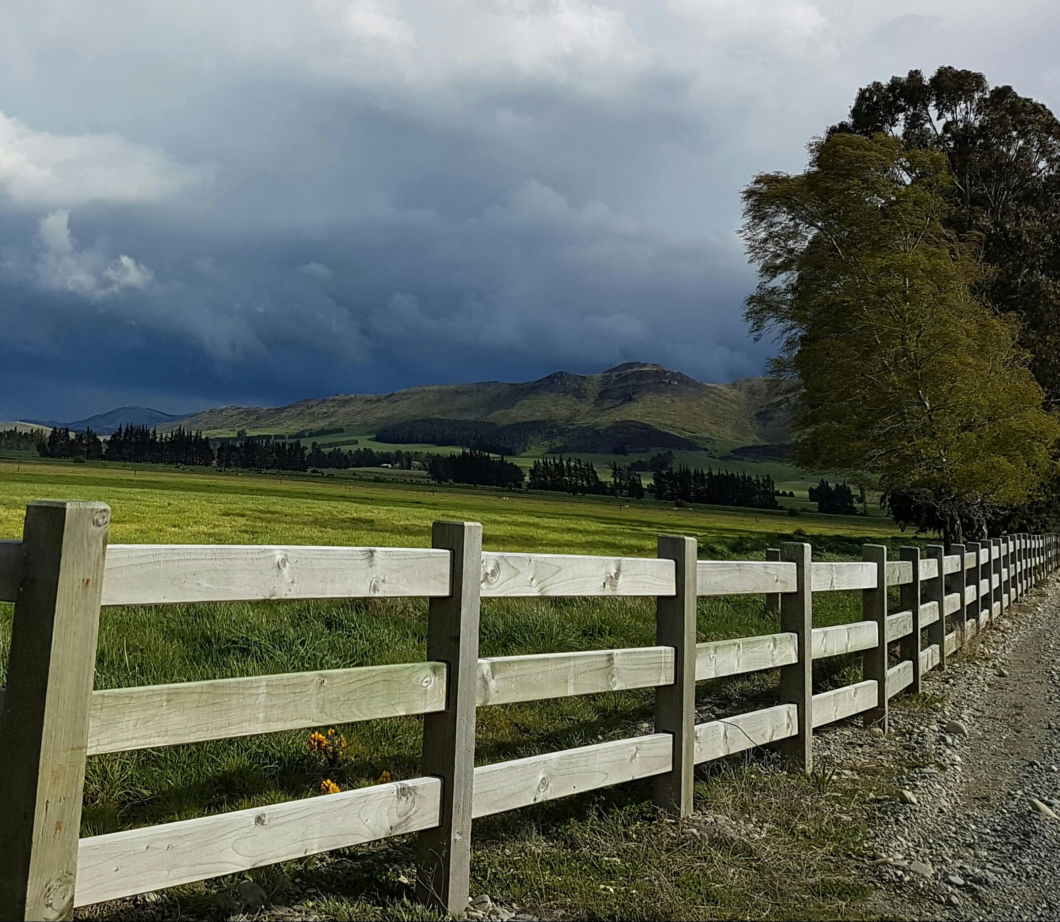 free stock photo of countryside fence grass