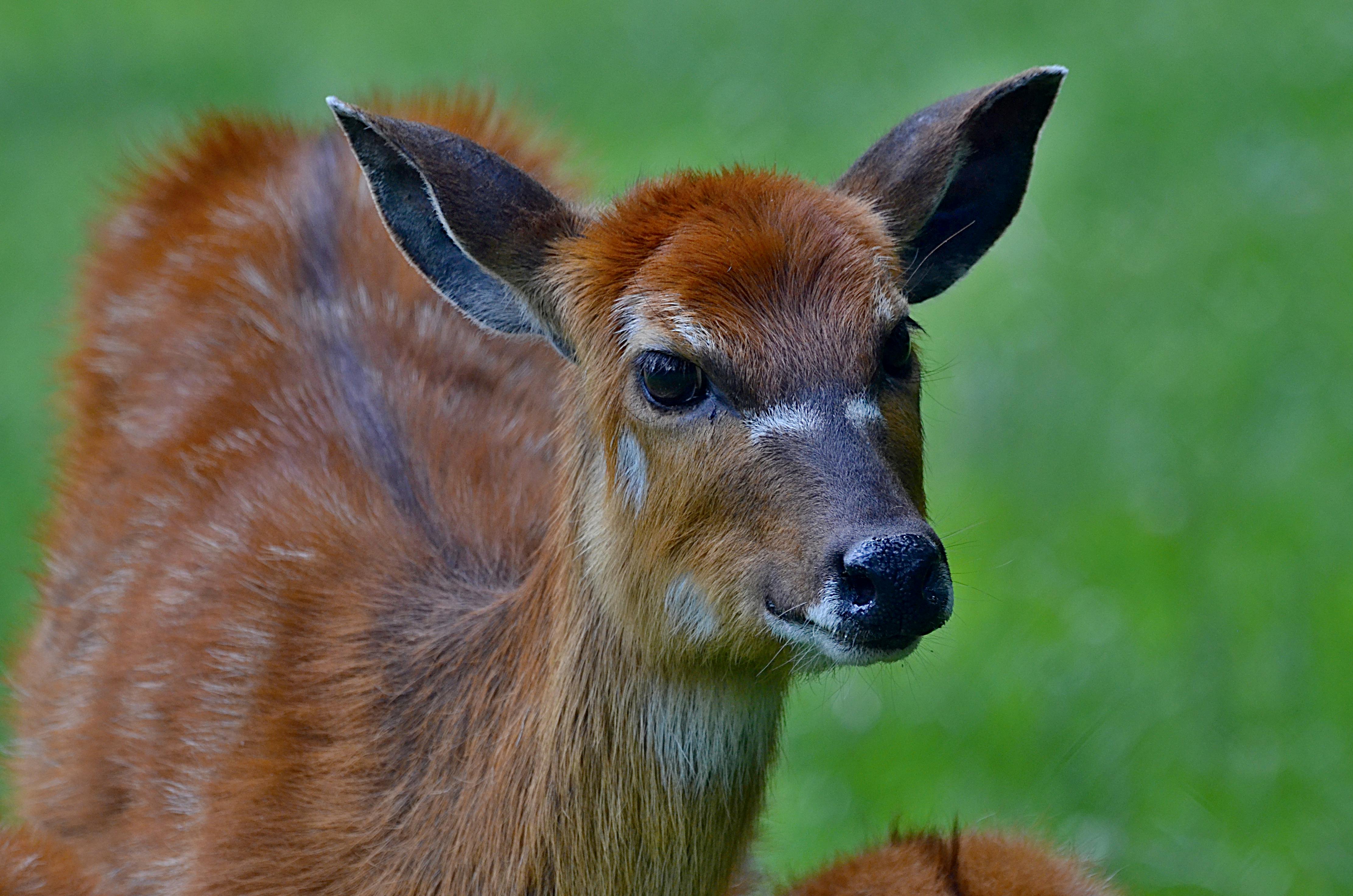 Investment strategy planning with charts and graphs