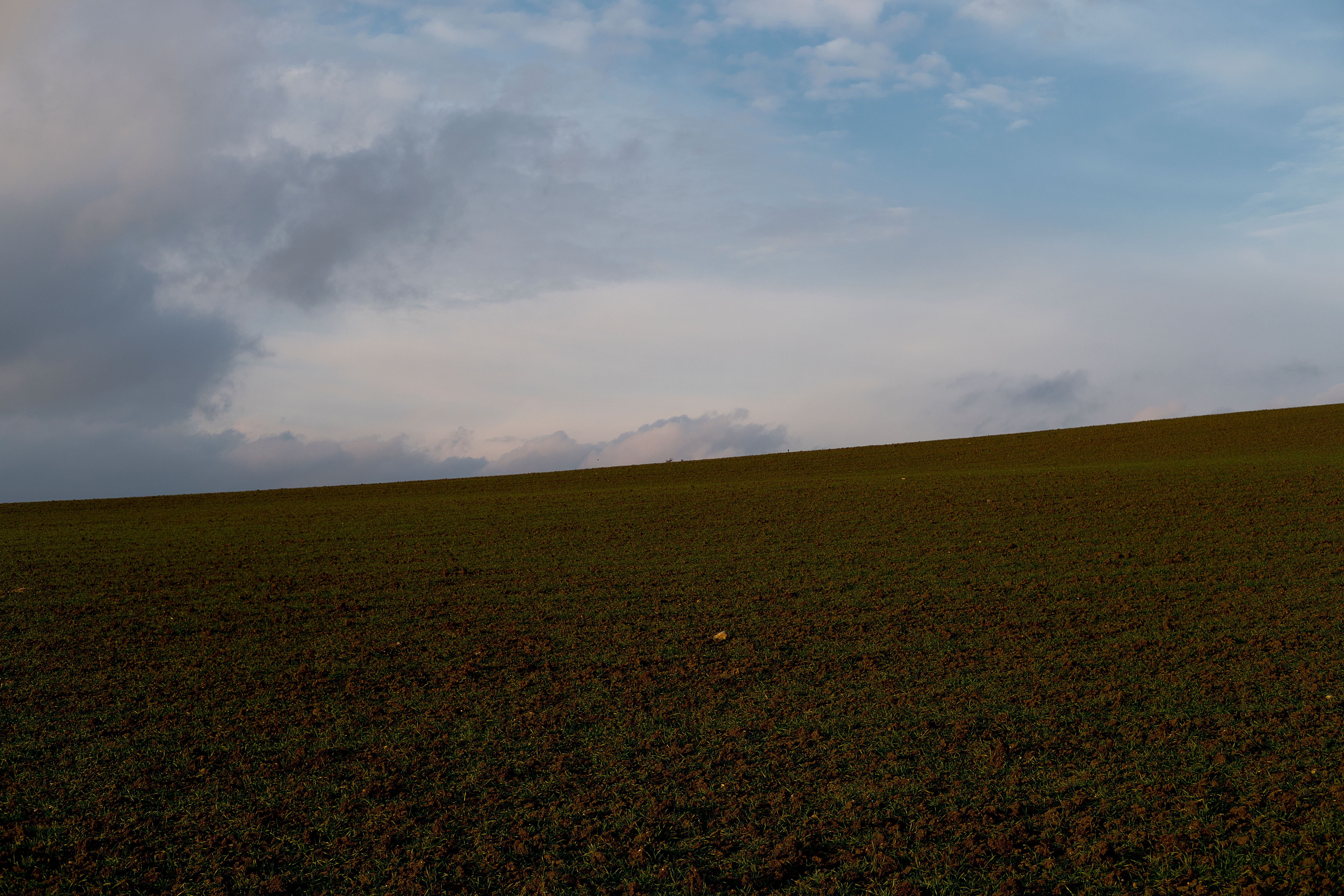 A serene landscape of a grassy field stretching under a partly cloudy sky during the day.
