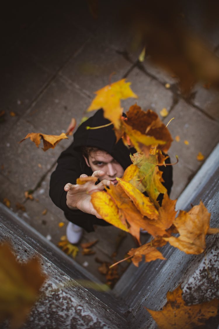 A Man Catching Falling Leaves 