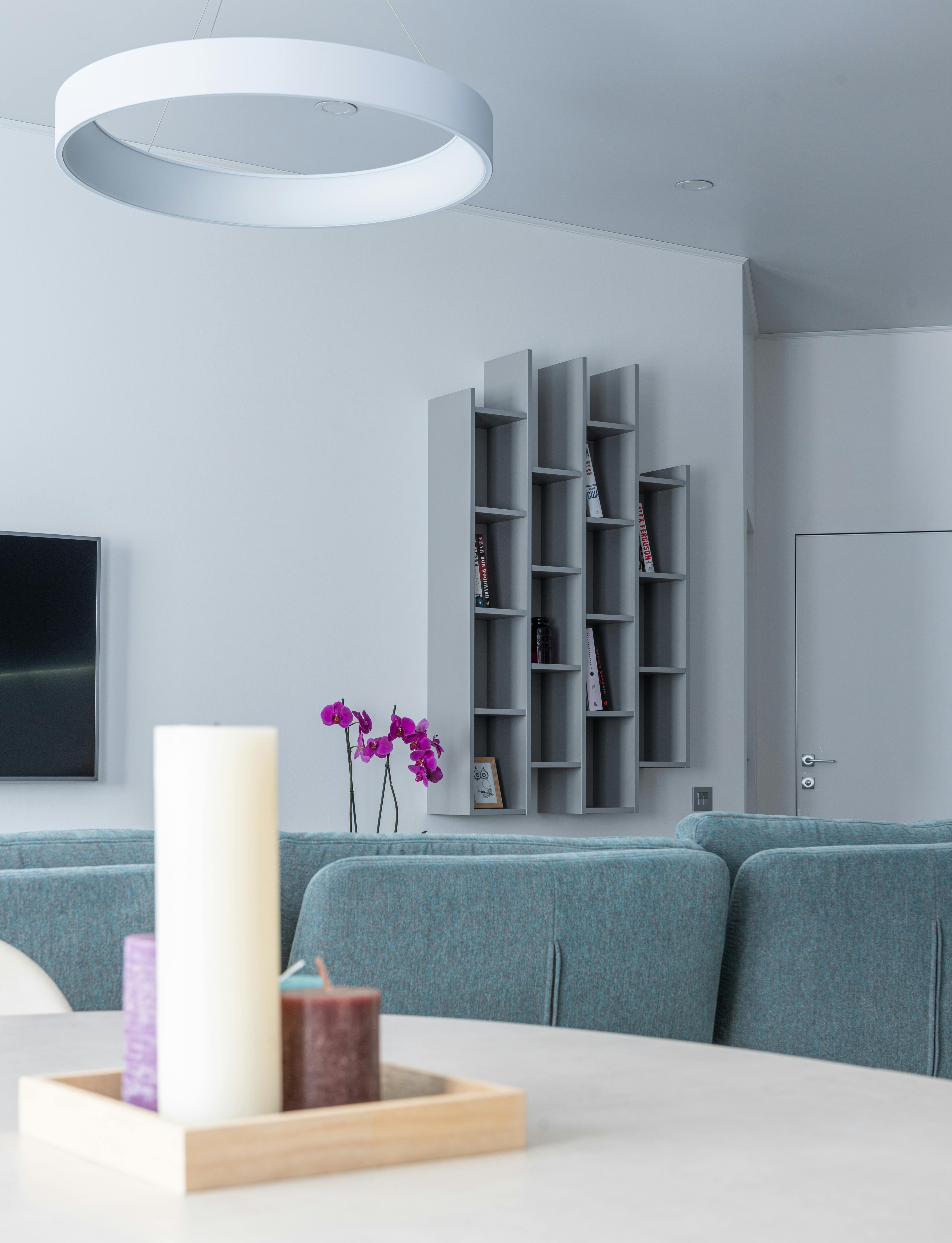 Comfortable living room with modern interior with sofa and TV near purple flowers in blossom
