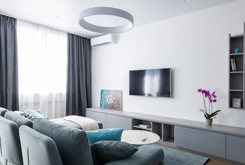 Modern interior of cozy living room in gray colors with TV on wall and gray cabinet below with blooming orchid flower