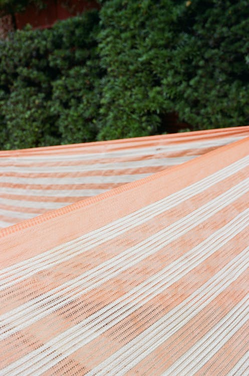 Fabric with straight narrow white and orange stripes against green trees growing in daylight