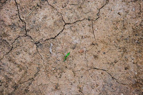 Free Backdrop of rough terrain with cracks in daylight Stock Photo