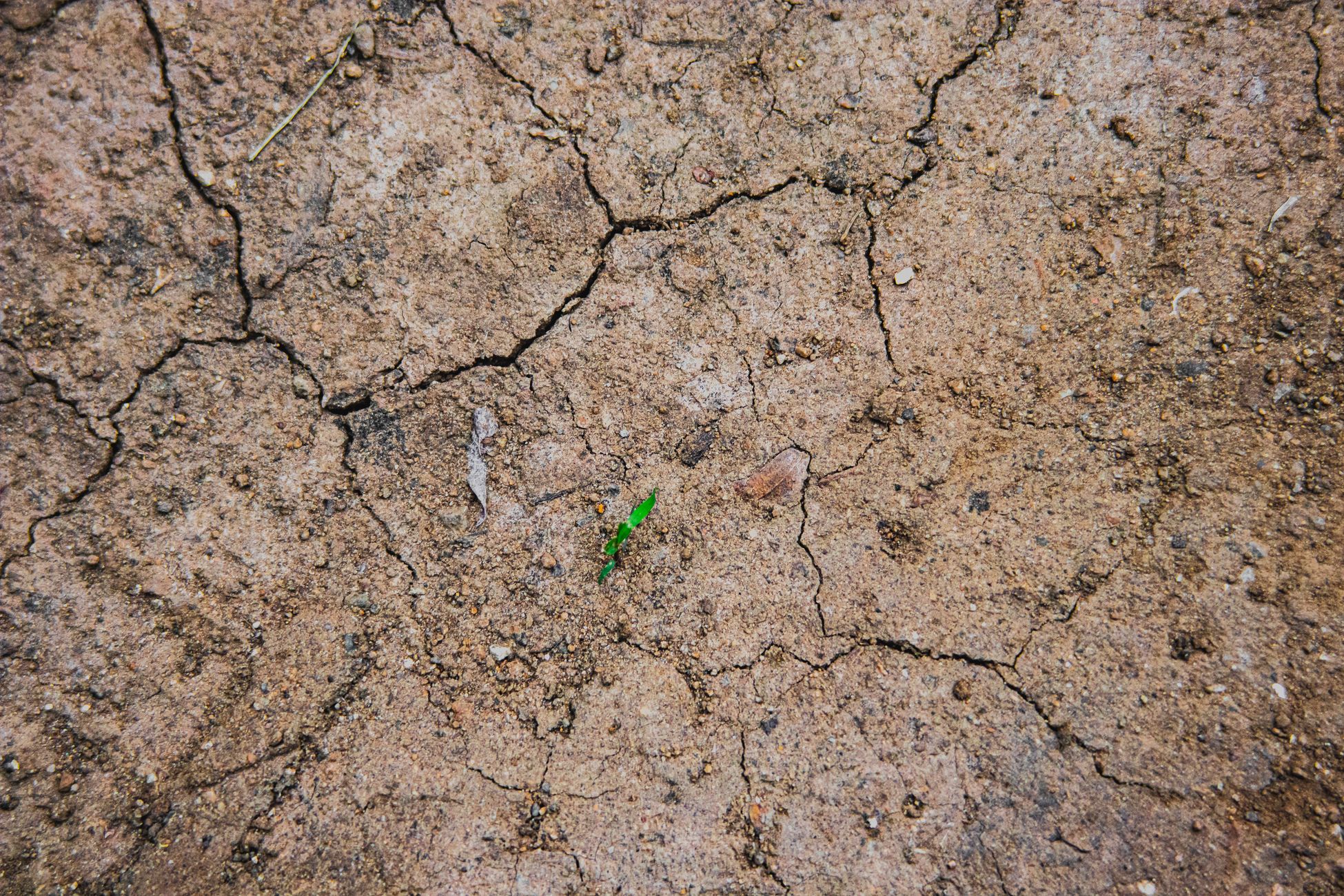 Bedrijven worden zich bewust van dreigend watertekort