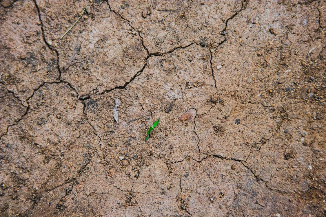 Backdrop of rough terrain with cracks in daylight · Free Stock Photo