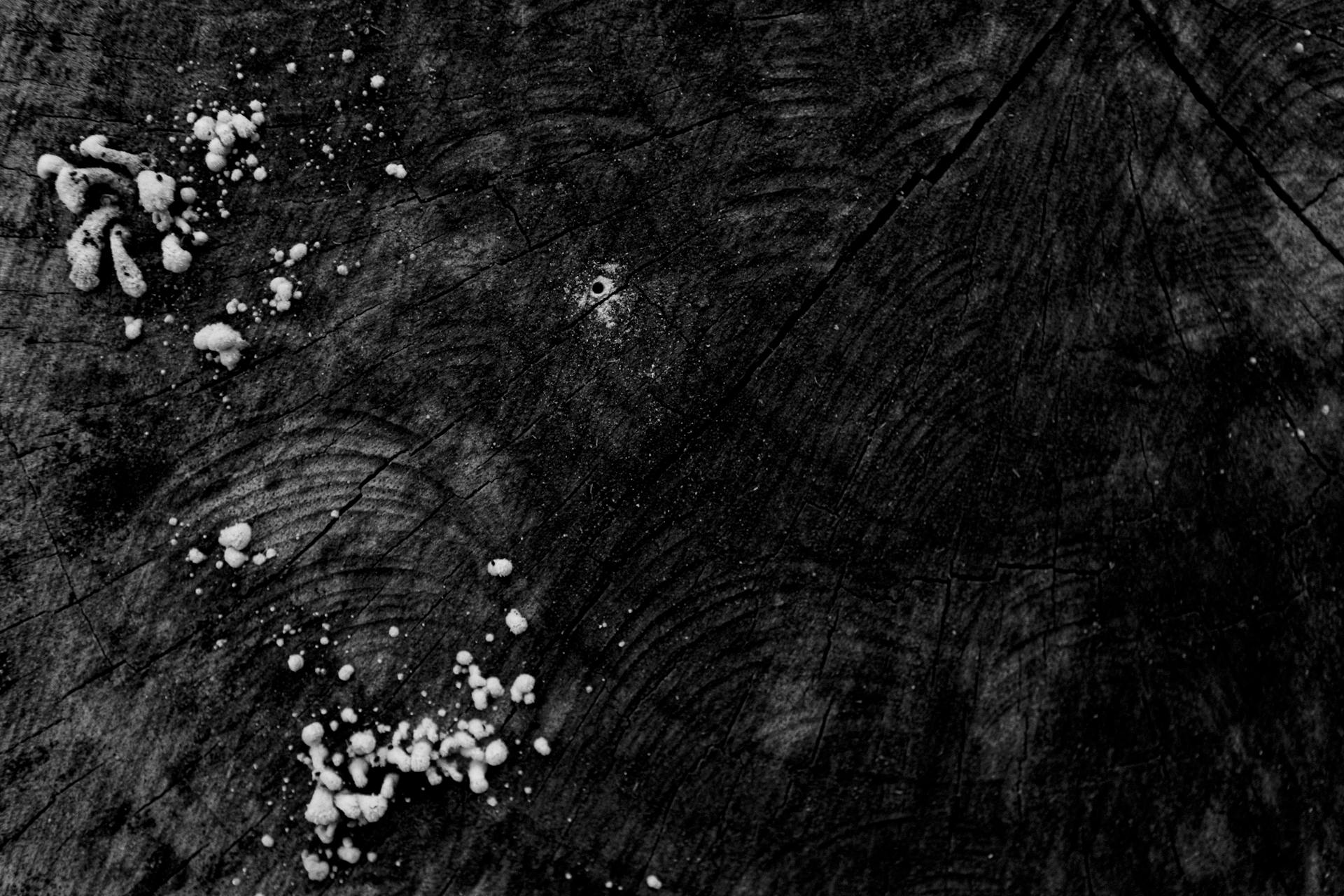 Black and white of from above of textured dark surface with white spots