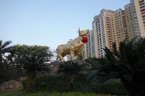 Free stock photo of apartment building, chinese new year, chinese zodiac Stock Photo