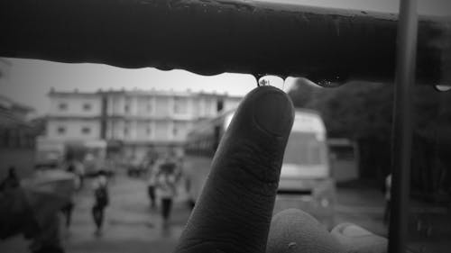 Free stock photo of after the rain, water drop