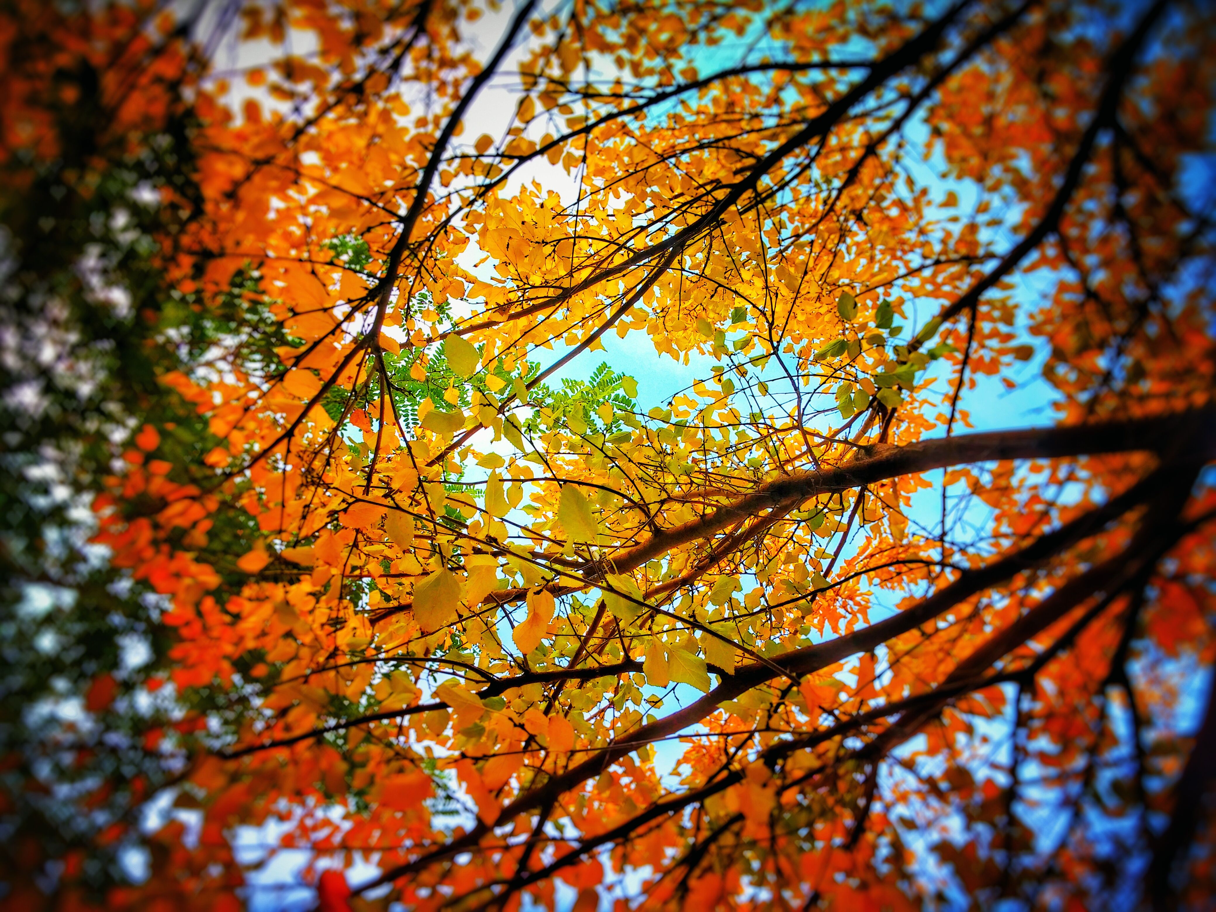 low angle shot photography – Image 13