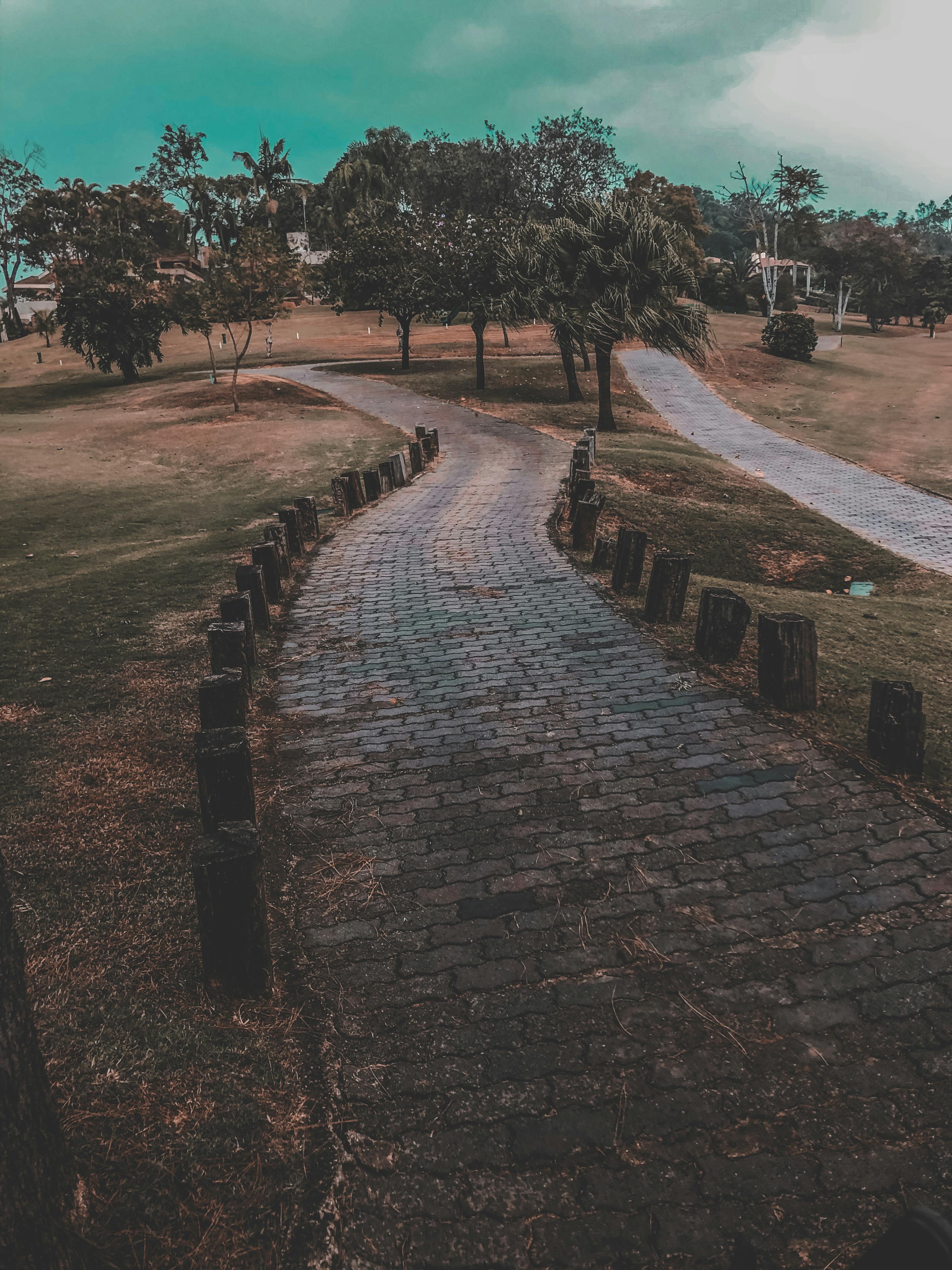 대마종자유와 건강 라이프스타일 – 출처: Pexels