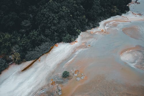 Spectacular drone view of powerful turquoise ocean with foamy waves crashing on lush green trees growing on sandy beach in daytime