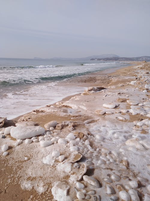 Photo of a Rocky Seashore