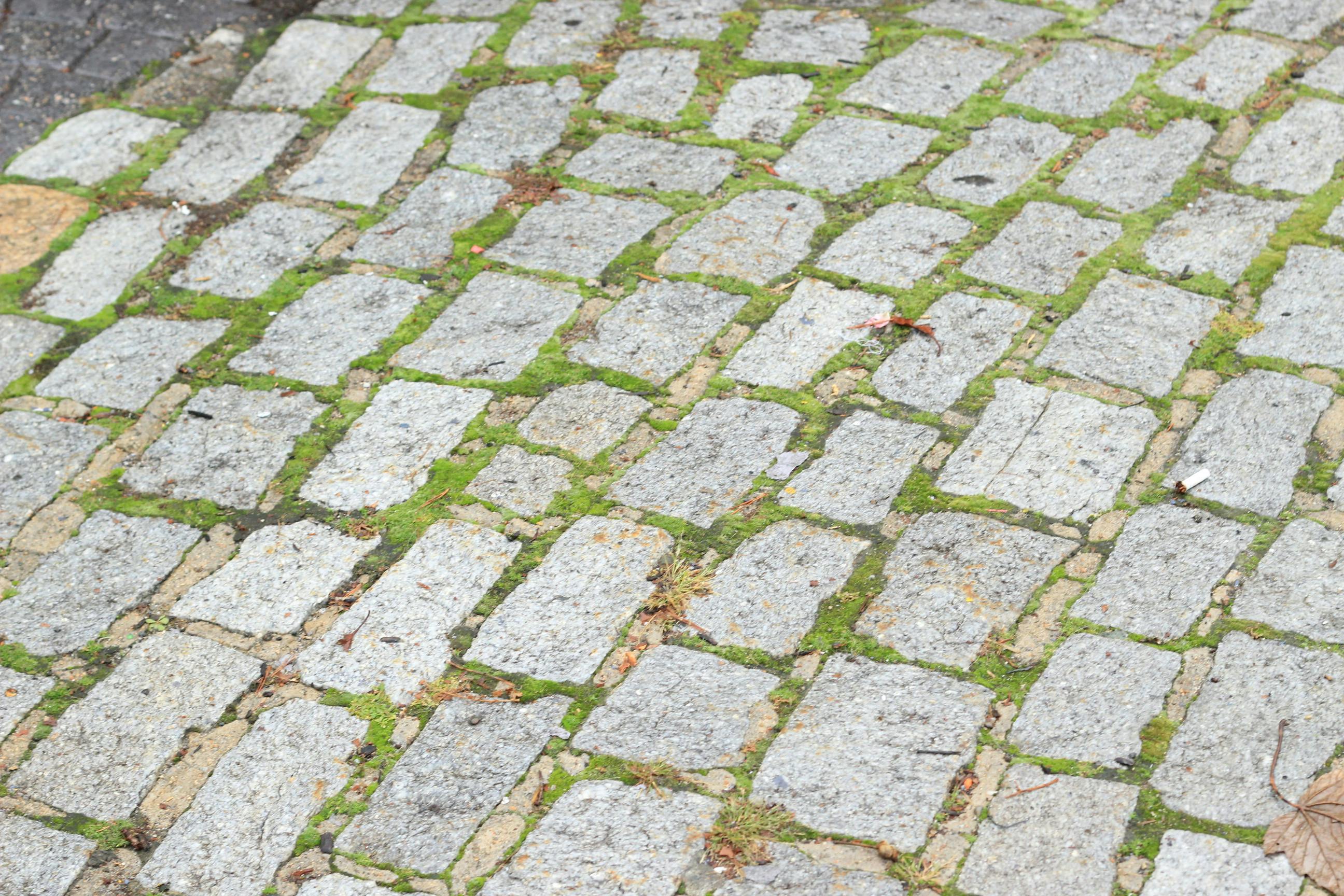 Free stock photo of brick paving, cobblestone, cobblestone street
