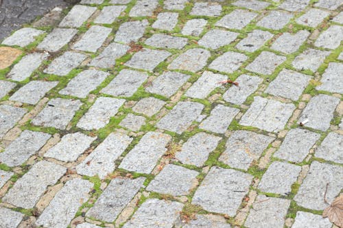 Foto d'estoc gratuïta de carrer de llambordes, llamborda, llambordes