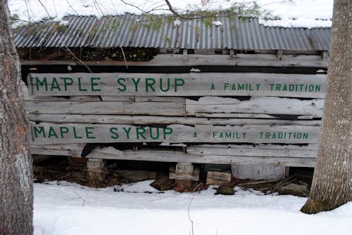 Free Shabby wooden construction with inscription Maple Syrup located between trees in snowy countryside Stock Photo