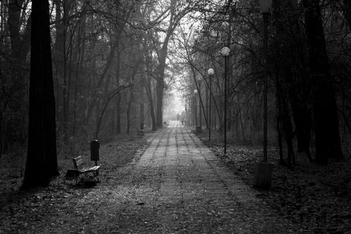 Free Black and white of empty alley with dry leaves in park with streetlights and benches Stock Photo