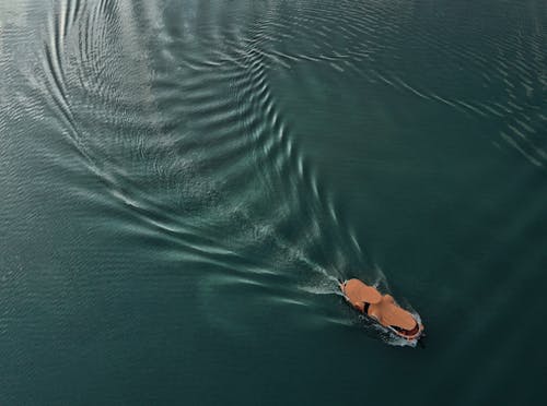 Бесплатное стоковое фото с copy space, аквамарин, берег моря