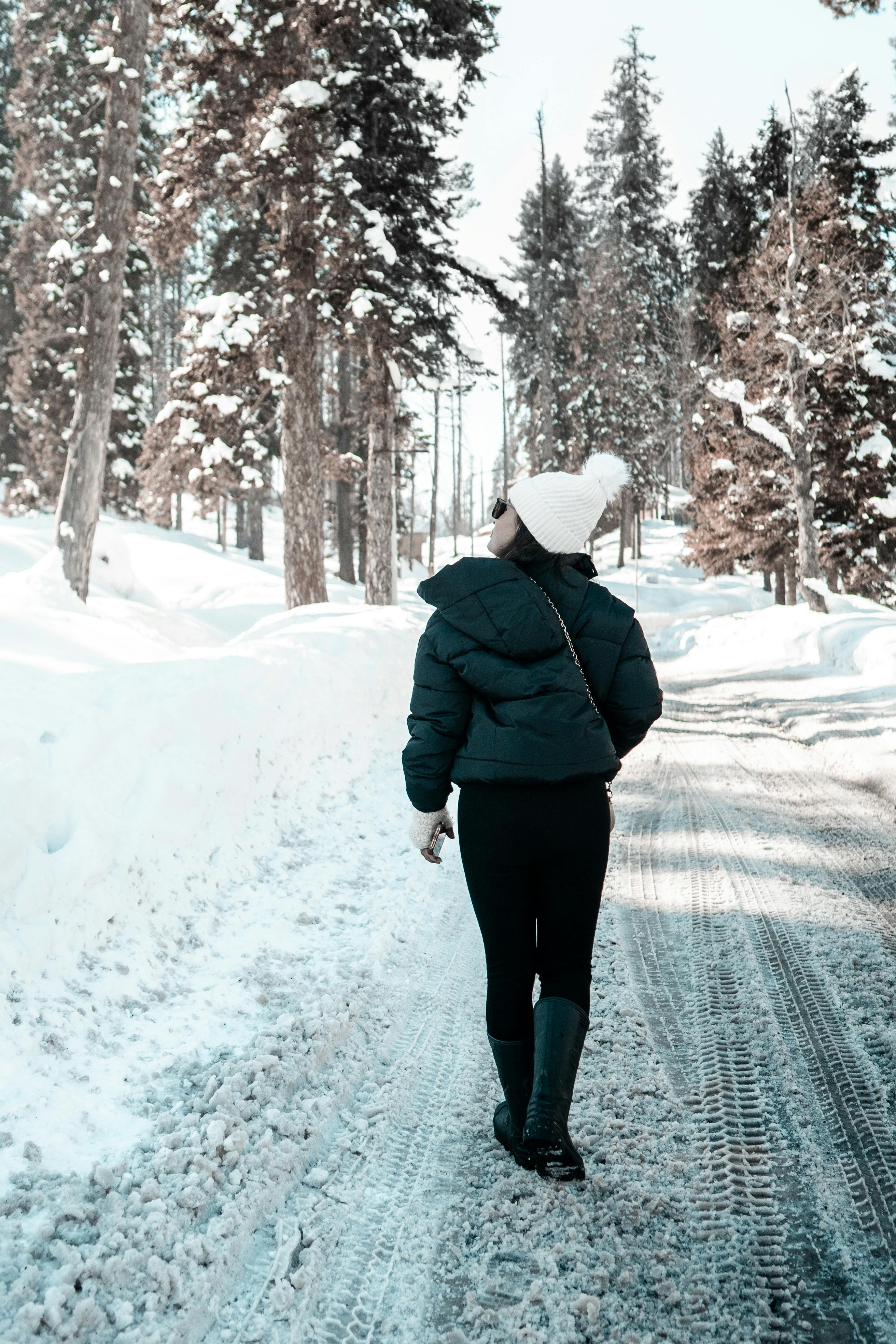 Hiking in the Mountains
