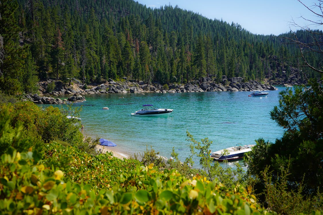 Free Blue and White Boat on the Shore Stock Photo