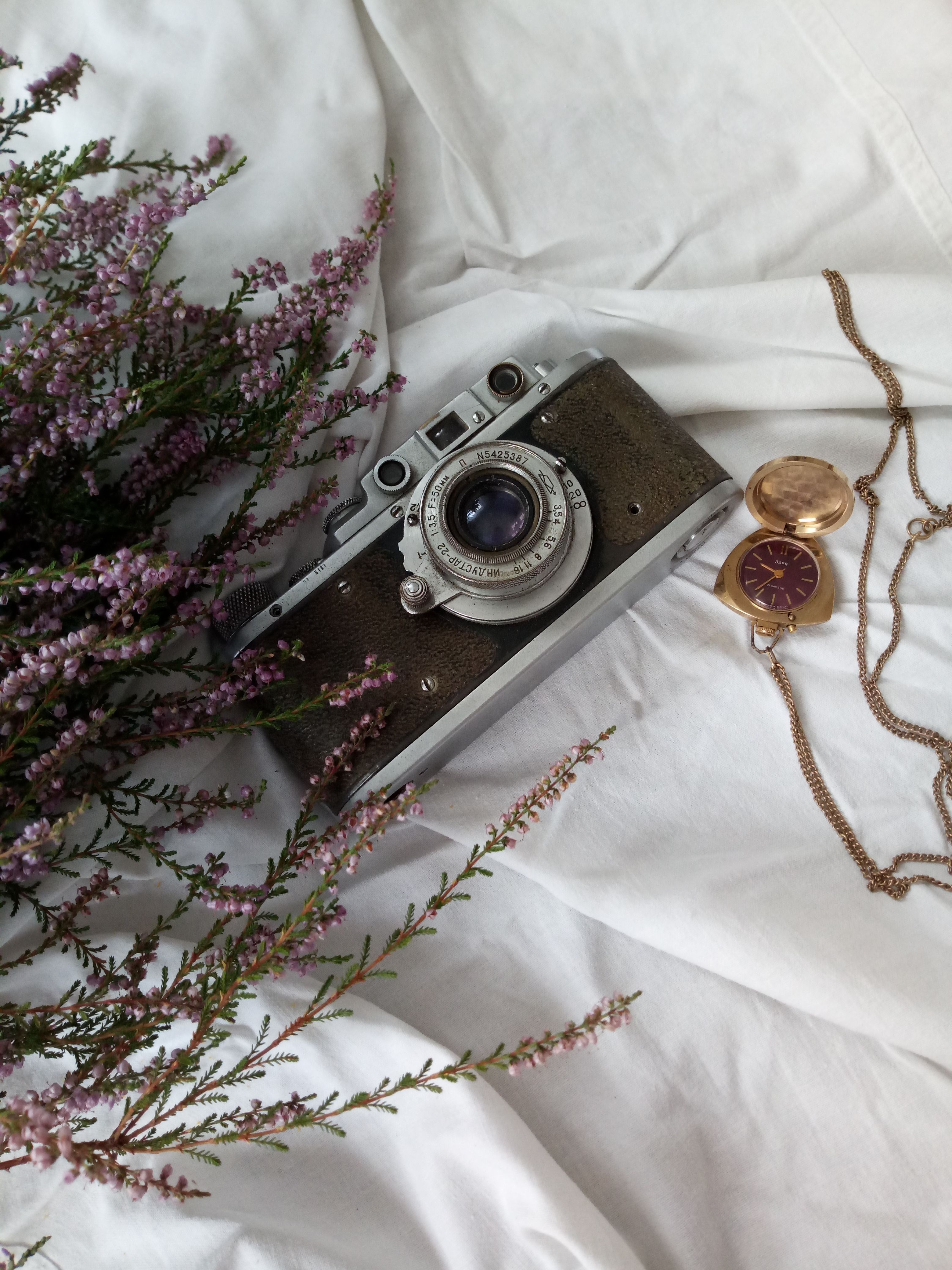 A captivating still life featuring a vintage camera and pocket watch on a floral background.