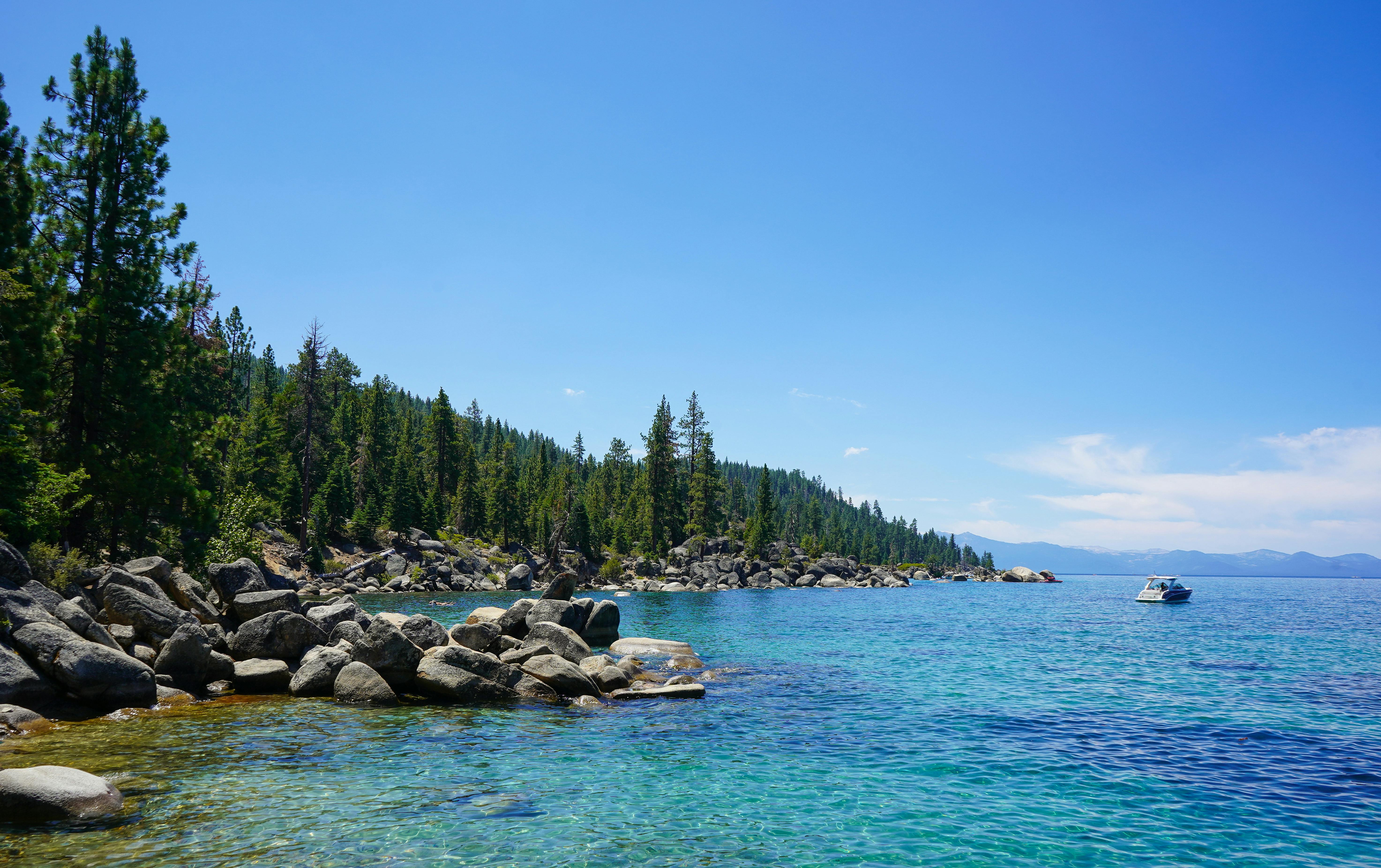 Picturesque Lake Tahoe with clear blue waters, rocky shores, and lush pine forests under a summer sky.