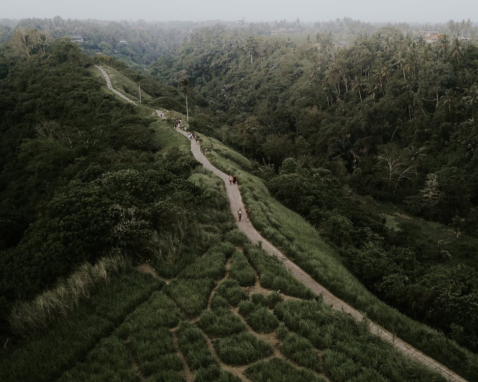 Drone view of winding roadway going through abundant grassy terrain surrounded by trees located in highlands