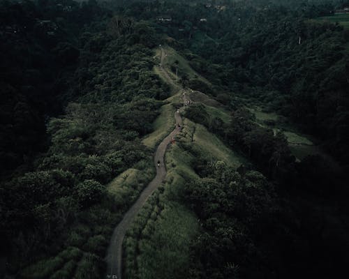 Mountainous road on green hilly terrain