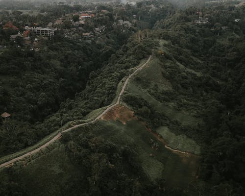 Drone view of picturesque scenery in green mountainous terrain with narrow pathway running amidst lush tropical vegetation