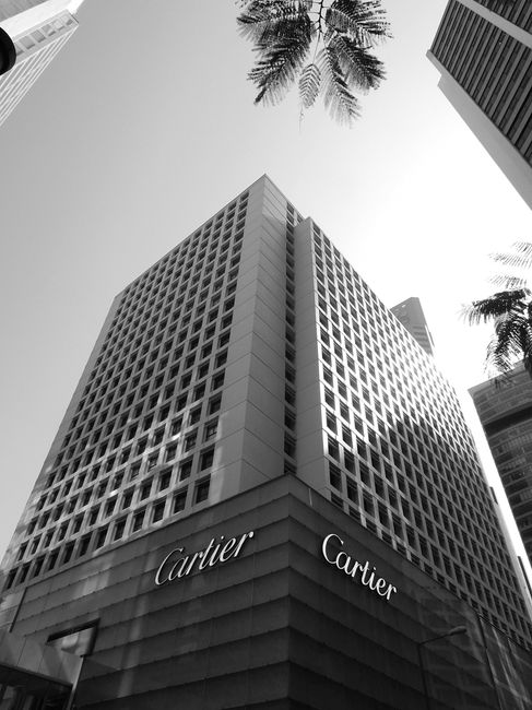 Low angle black and white exterior of buildings in street near palms in town under bright cloudless sky in sunny day