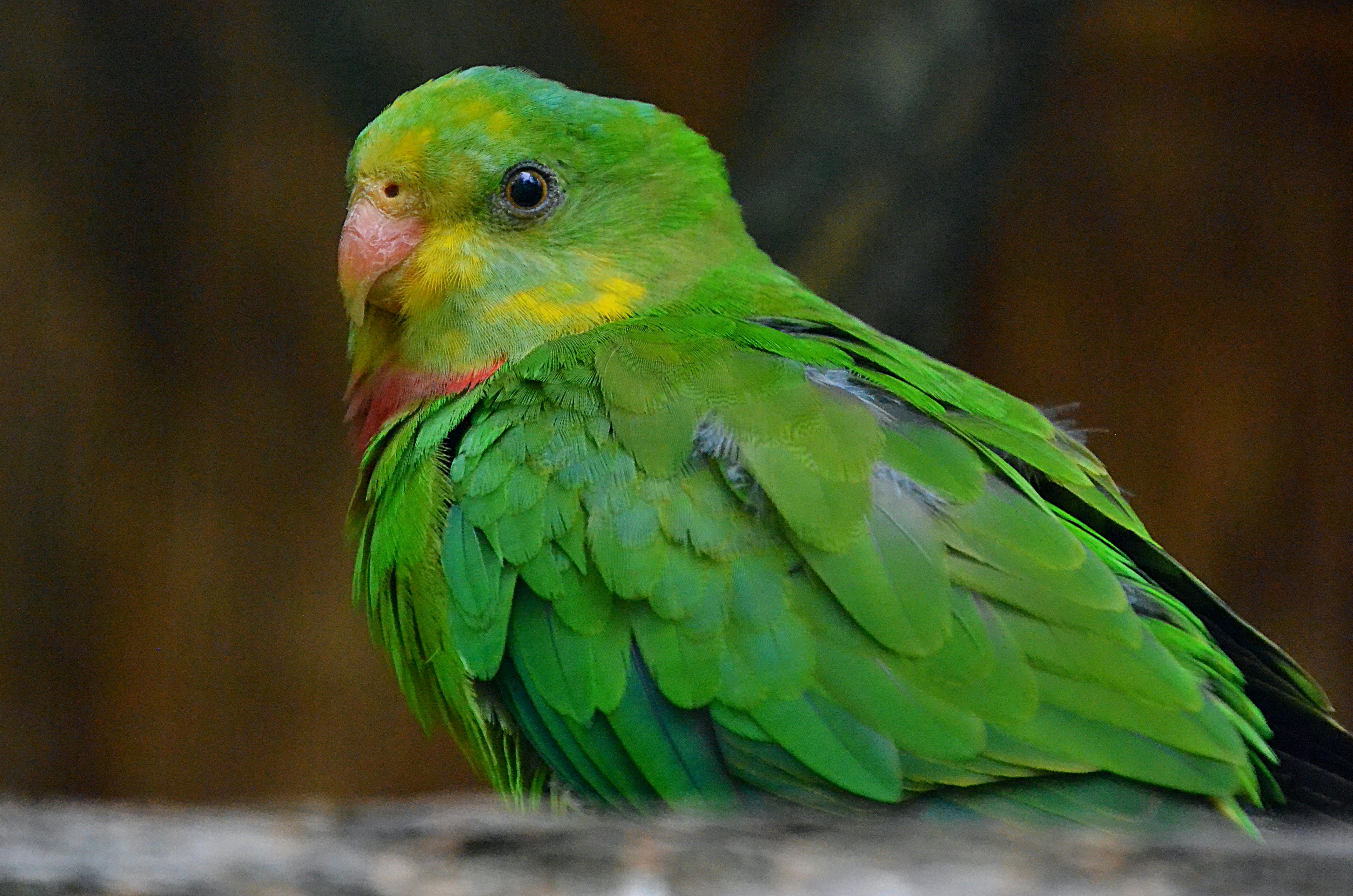 아침 루틴 이미지