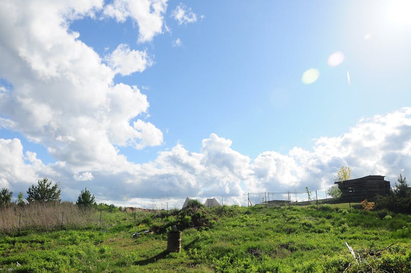 Detalle de un carruaje antiguo de madera y hierro