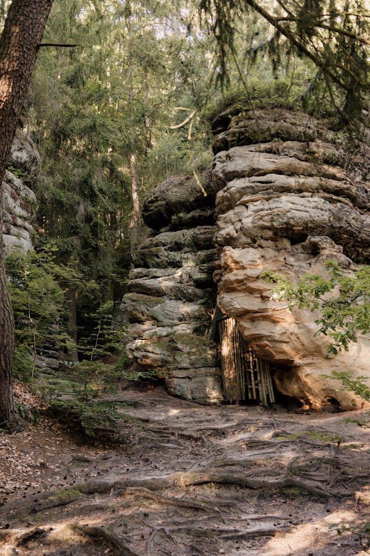 Small Cave In Rock In Forest