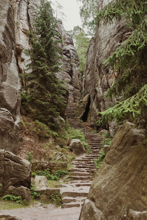 Rocky ravine with stone stairs in green forest