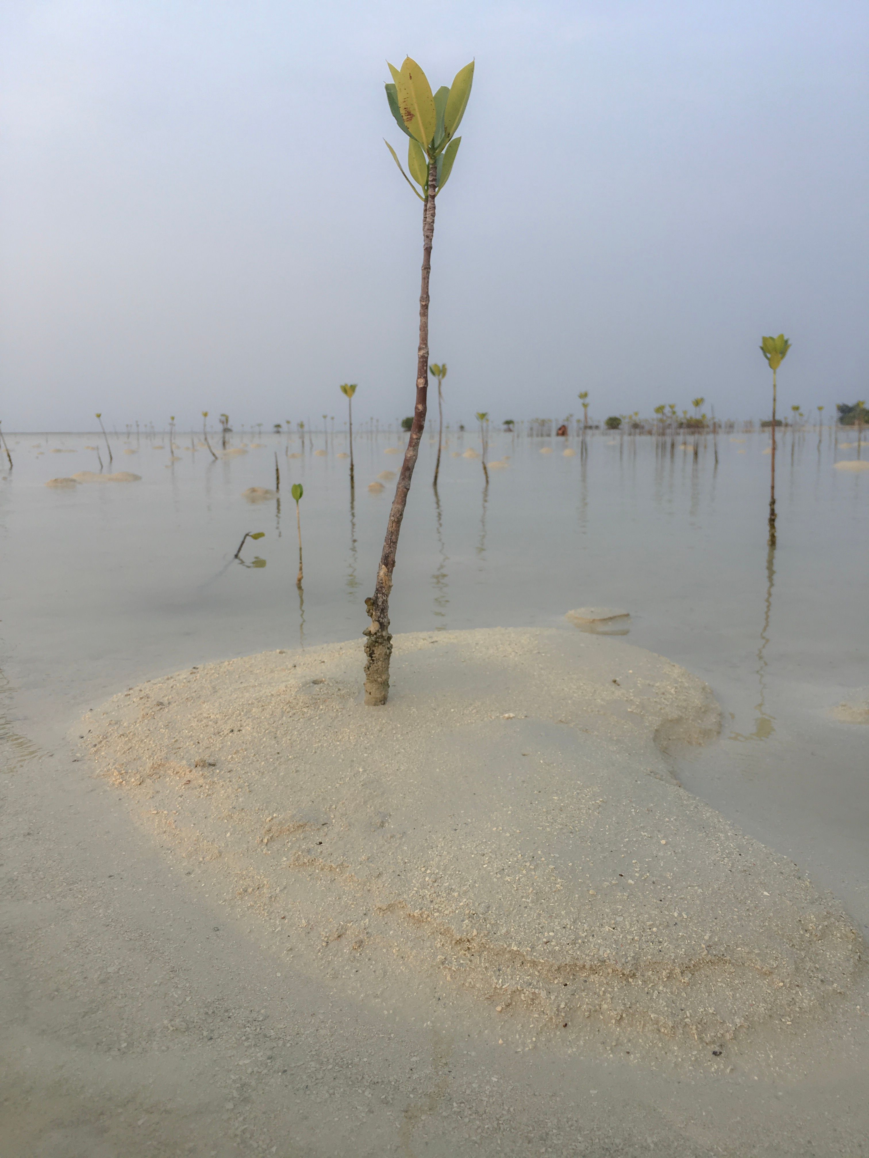 Relaxing slow living environment with calm interior