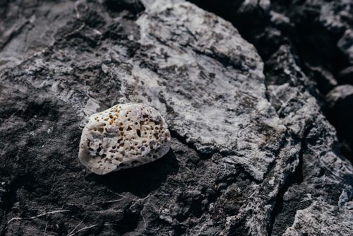 Free A detailed close-up of a uniquely textured rock showcasing intricate surface patterns. Stock Photo