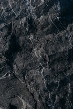 A detailed close-up of a textured dark rock surface showcasing natural patterns.