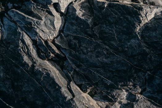 Detailed close-up of a textured dark rock surface, showcasing natural patterns.