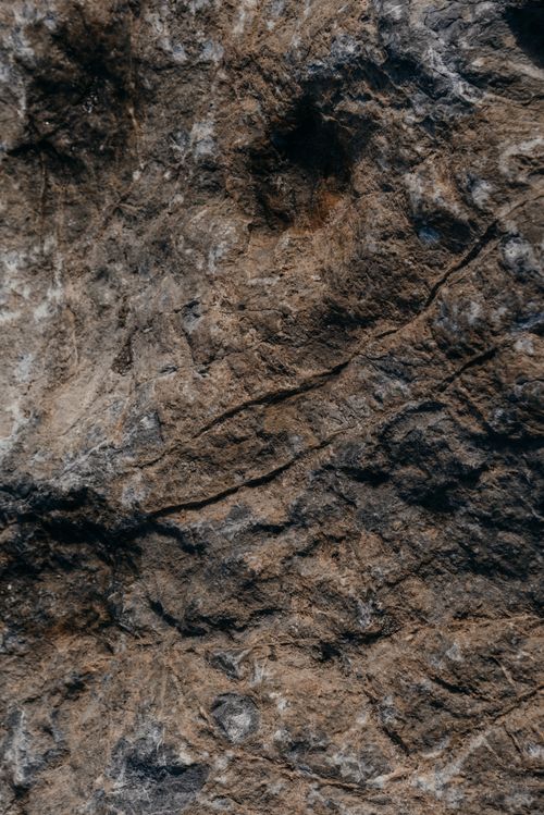 Free Close-up view of a natural stone surface showcasing intricate textures and earthy tones. Stock Photo
