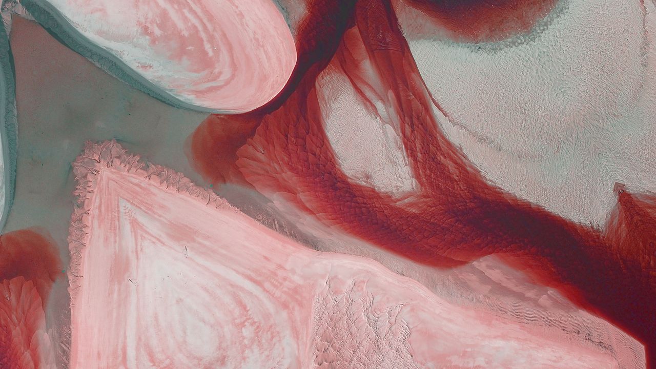 colorful abstract painting featuring organic shapes and vivid red and