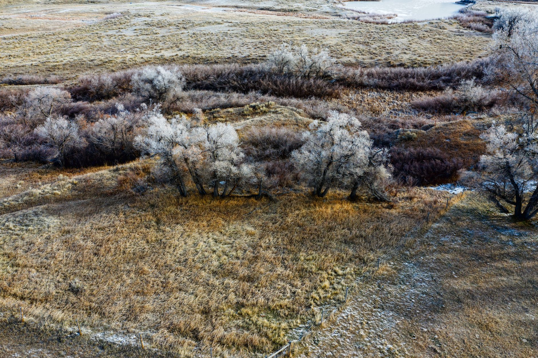 Aerial view of frosty trees in a grassland near Douglas, Wyoming in late fall.