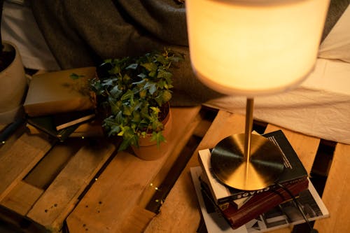 A Desk Lamp beside an Indoor Plant