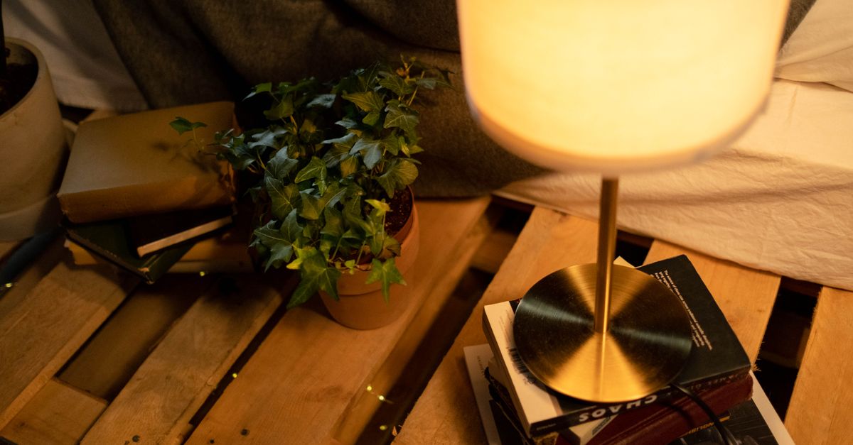 The Cozy Homebody