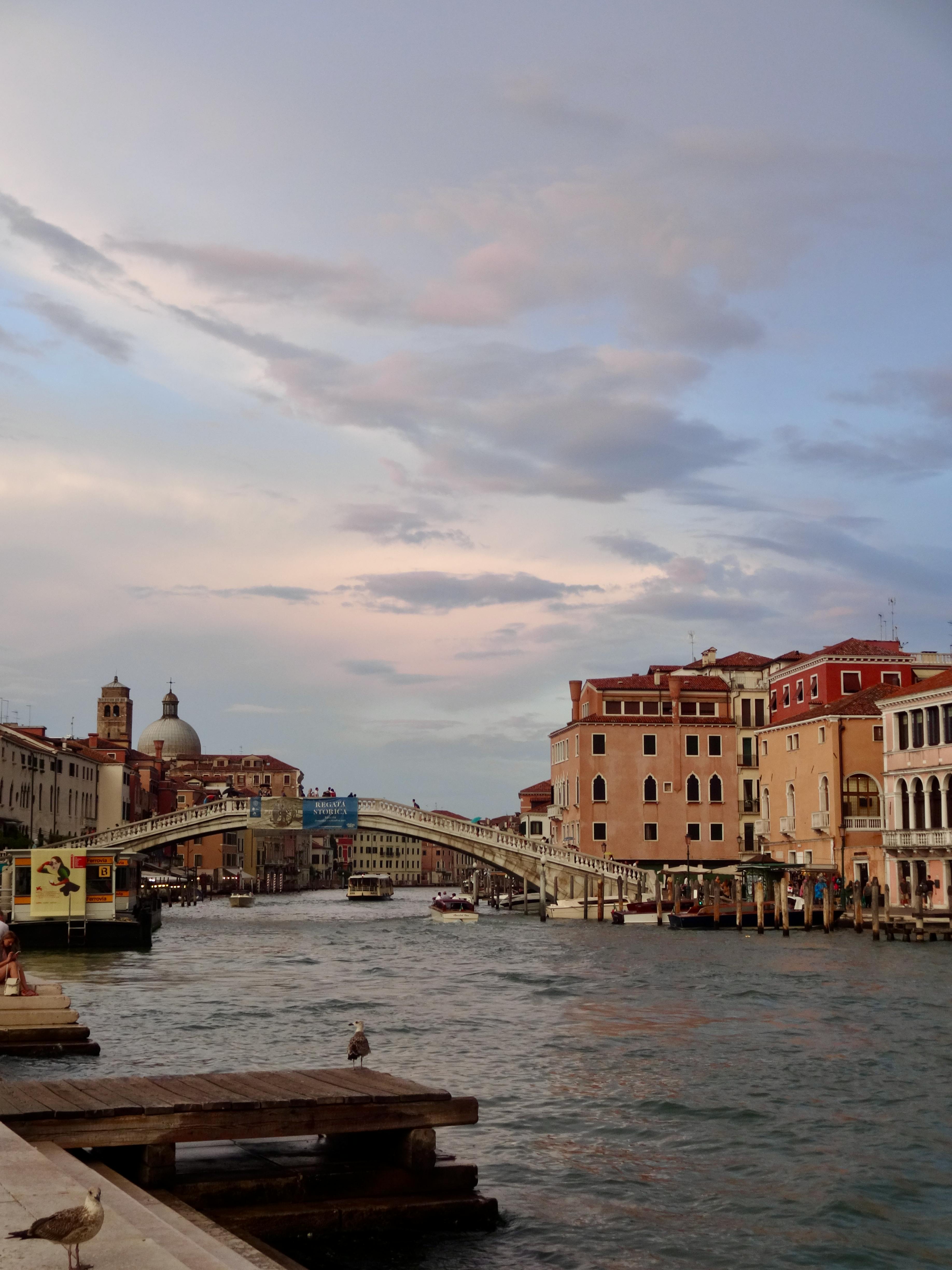 A River Between Buildings · Free Stock Photo